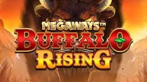 Buffalo Rising Mega Way – Trải nghiệm kỳ thú về miền hoang dã